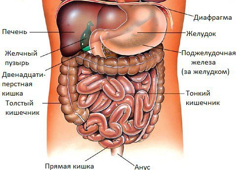 ЖТСО - Жан мен Тән сауықтыру орталығы